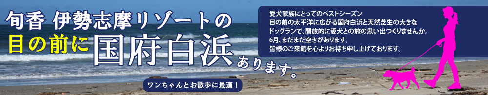 国府白浜